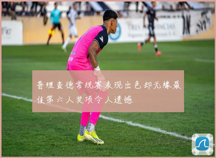 普理查德常规赛表现出色却无缘最佳第六人奖项令人遗憾